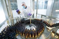 Pharma-Umbau: Sandoz bündelt Biosimilars-Geschäft in neuer globaler Einheit