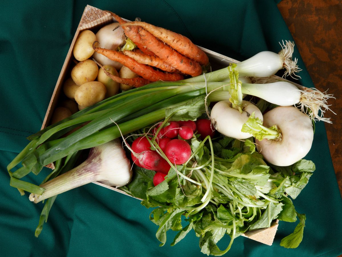 Les élèves meyrinois mangeront bientôt des légumes bios et issus de la production locale grâce à une nouvelle légumerie implantée sur la commune.