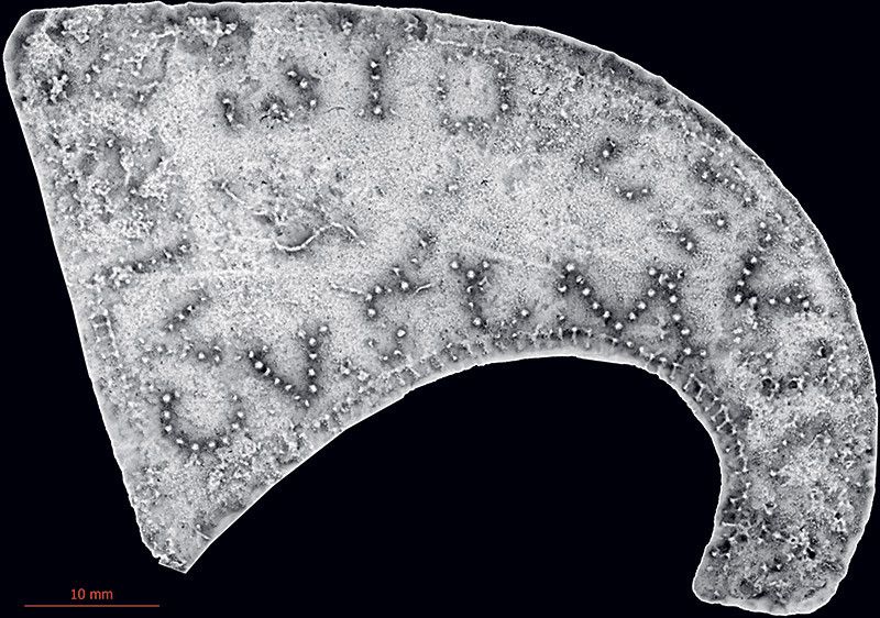 La petite hachette découverte en 1984 à Vidy n’avait jamais été observée de manière aussi détaillée. Sa numérisation par l’École de sciences criminelle a permis de sélectionner certains aspects de la surface pour détailler le relief.
