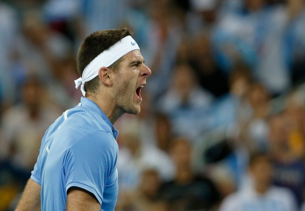 Une première victoire en 2017 pour del Potro