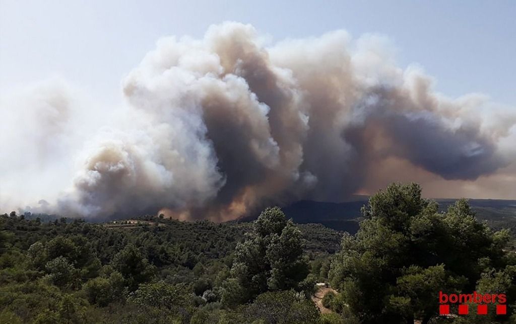 Incendie de forêt en Catalogne