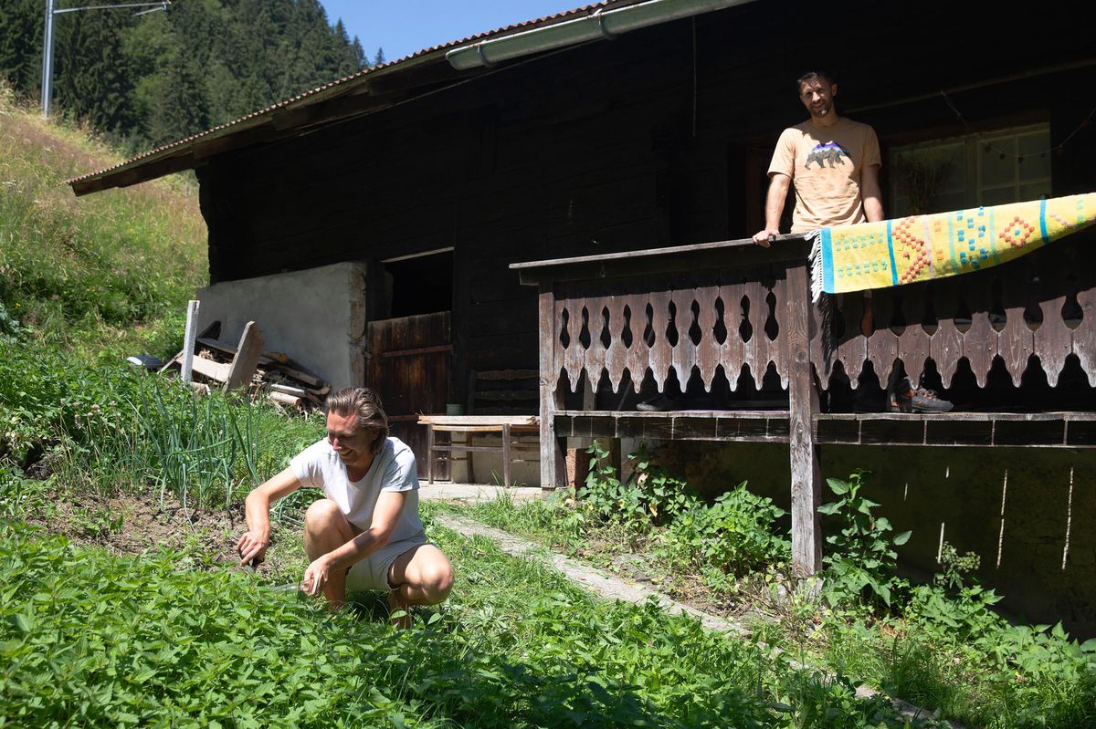 Micaël Metry récoltant des pousses d’orties sous l’œil de Nicolas dans le but de préparer un pesto façon Alpes vaudoises.