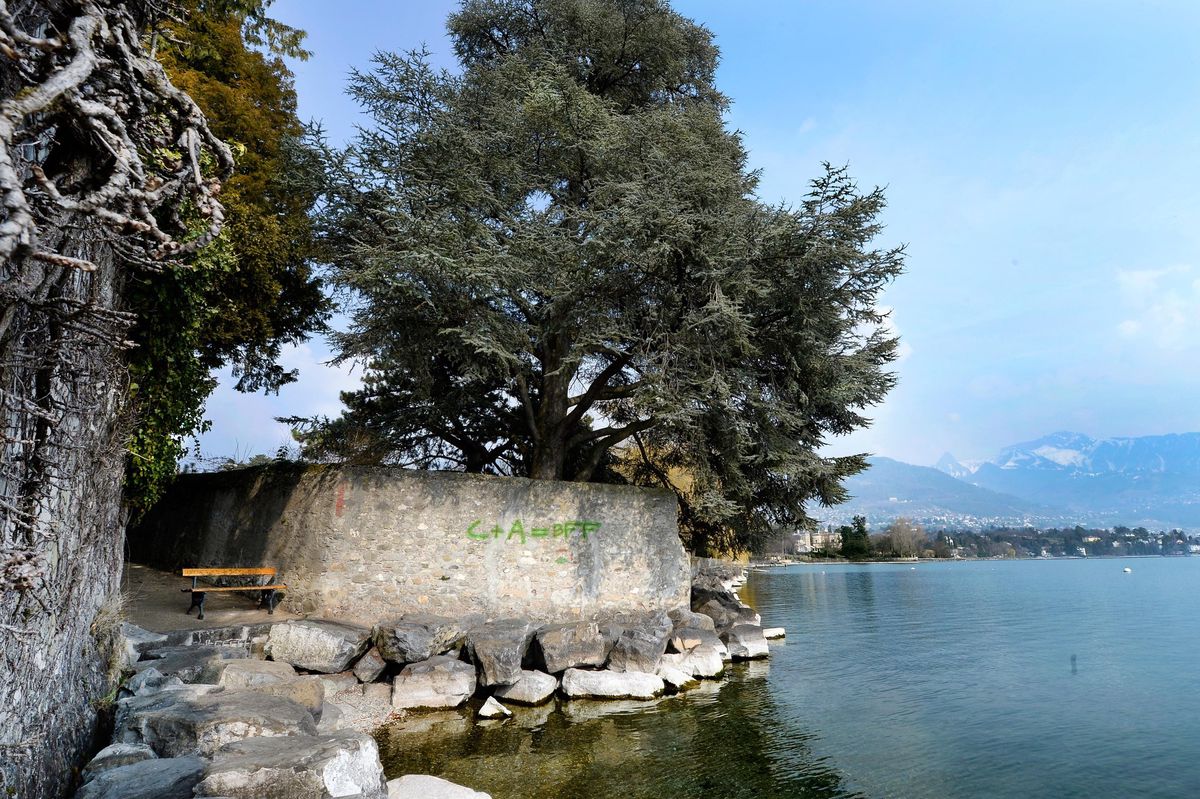 Sur le rivage de La Tour-de-Peilz, de nombreuses propriétés s’étendent jusqu’au bord de l’eau, comme ici à la Becque.