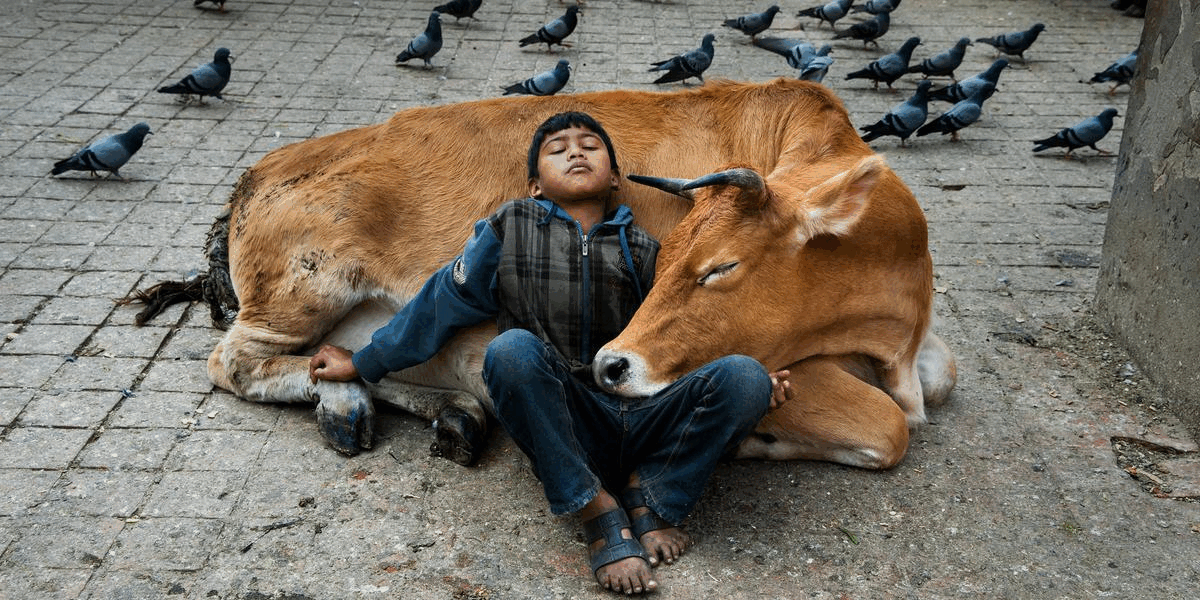 Steve McCurry Fotograf «Wir sollten so viel entdecken, wie wir können