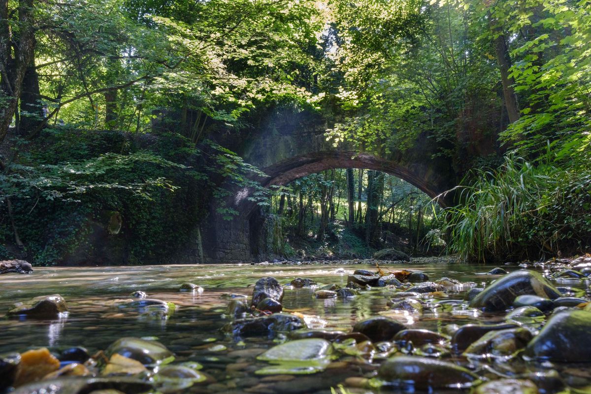 L’Aire, l’échappée du béton de Pont-Rouge