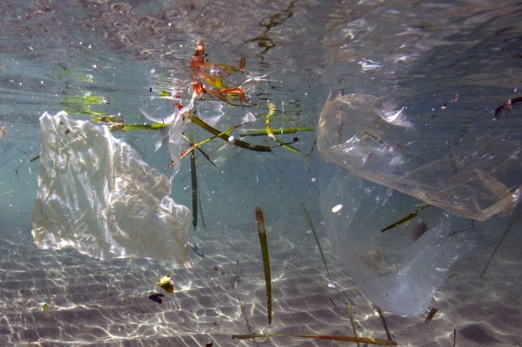 La pollution plastique marine a son accord