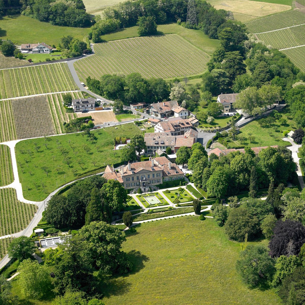 Le château  est situé au hameau de Vincy, sur la Commune de Gilly, au-dessus de Rolle.