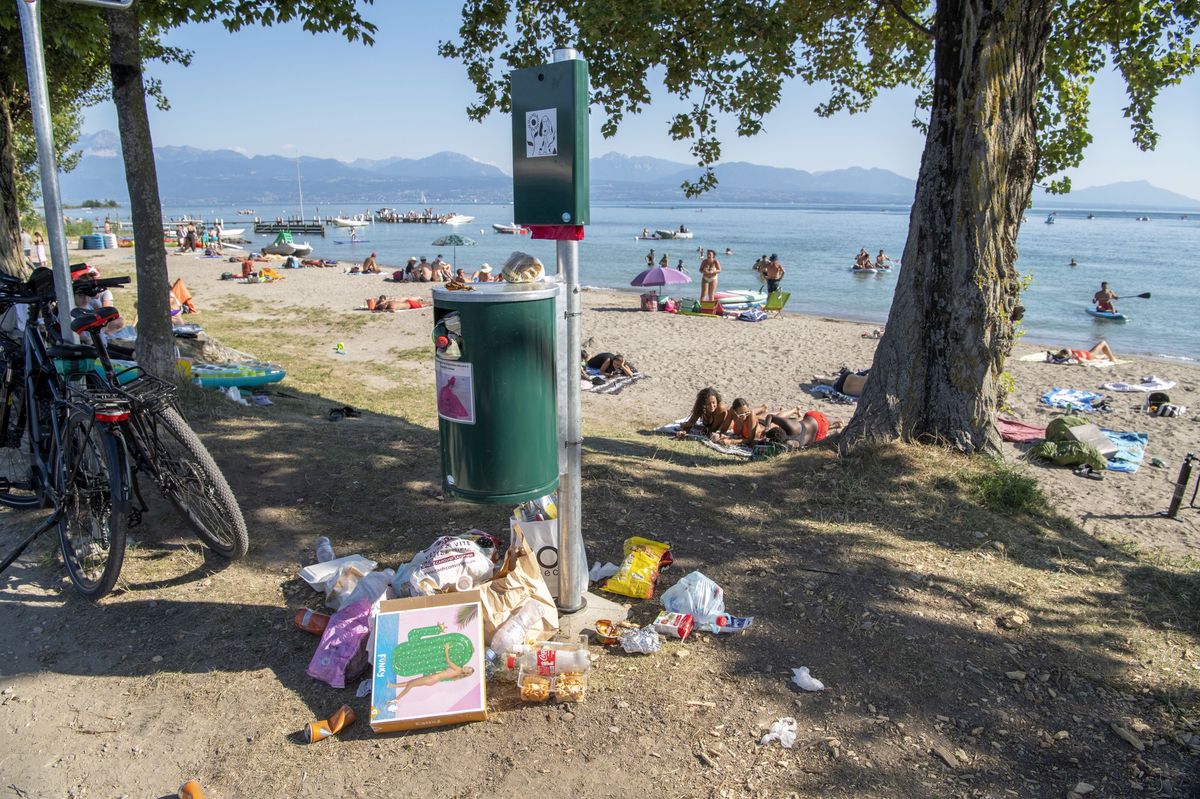 Des baigneurs ont utilisé les poubelles destinées aux déchets canins pour mettre leurs détritus. 
