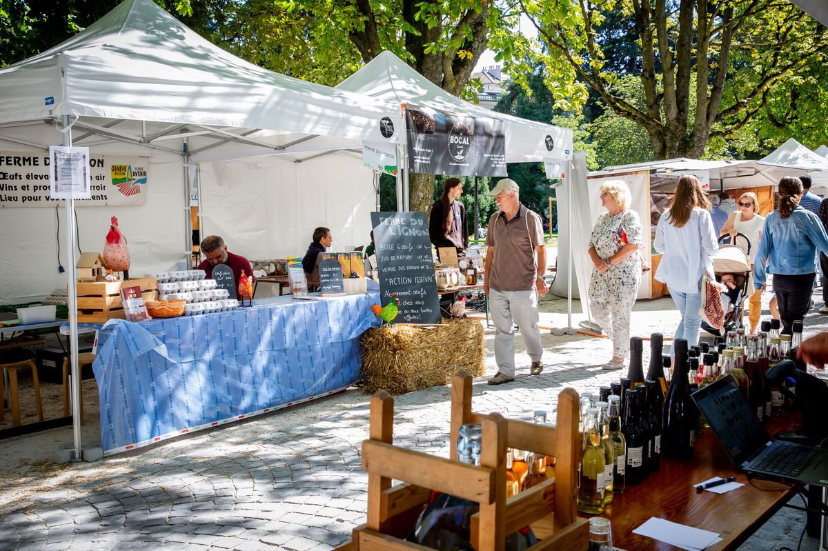Marché au parc des Bastions lors de la 3ème édition de Festi Terroir à Genève, avec des stands de producteurs locaux, des visiteurs et une exposition de produits.