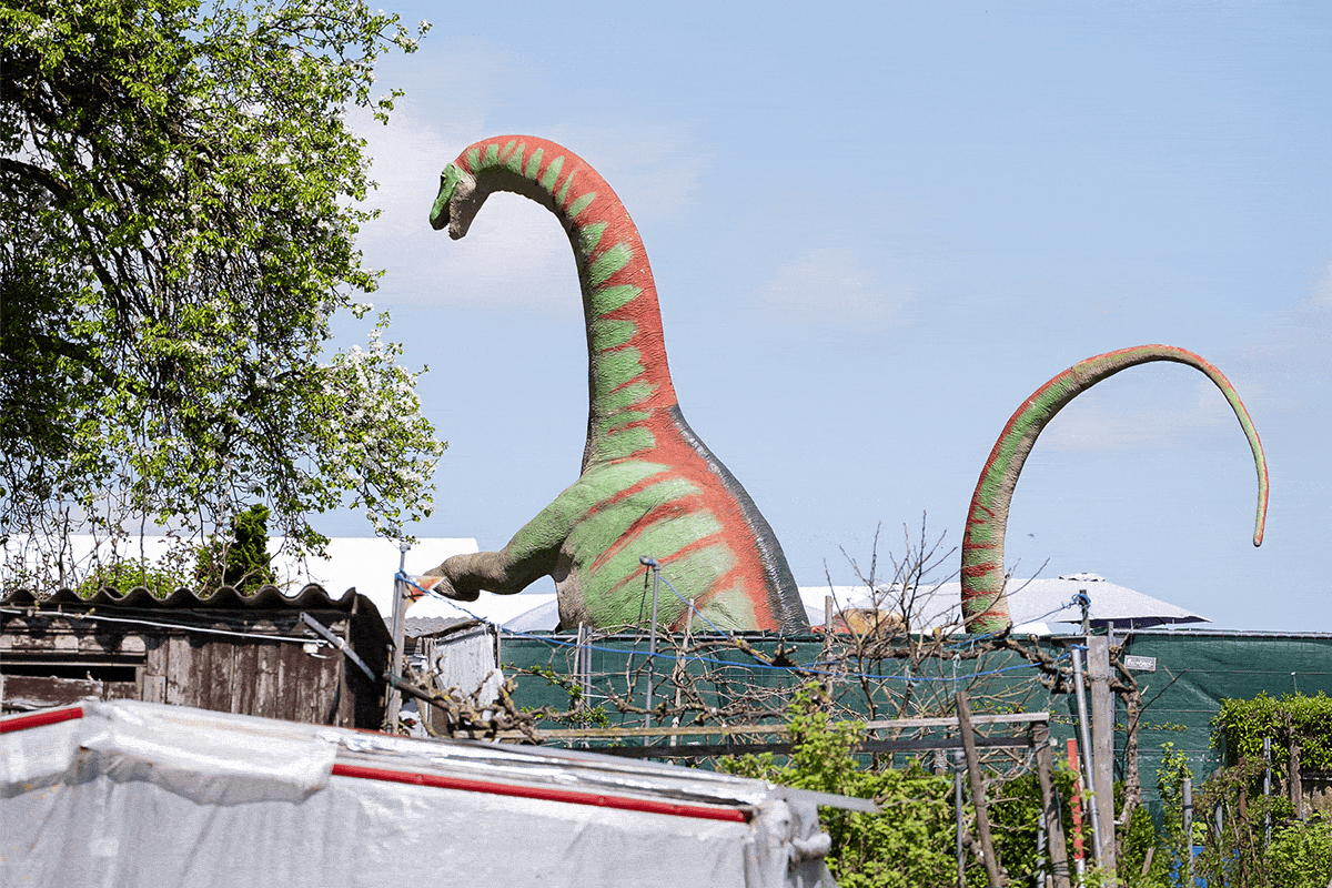 Die Woche durch unsere Linse: Ein Dino büxt aus und eine Floristin jagt Diebe – die besten Bilder aus Zürich