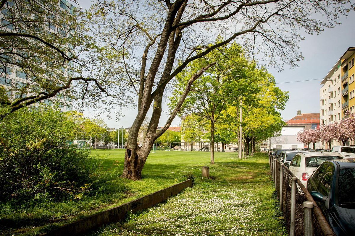 Tschudi-Matte bei der Schule St. Johann, Spitalstrasse Basel. Dienstag 12. April 2022 Foto © nicole pont