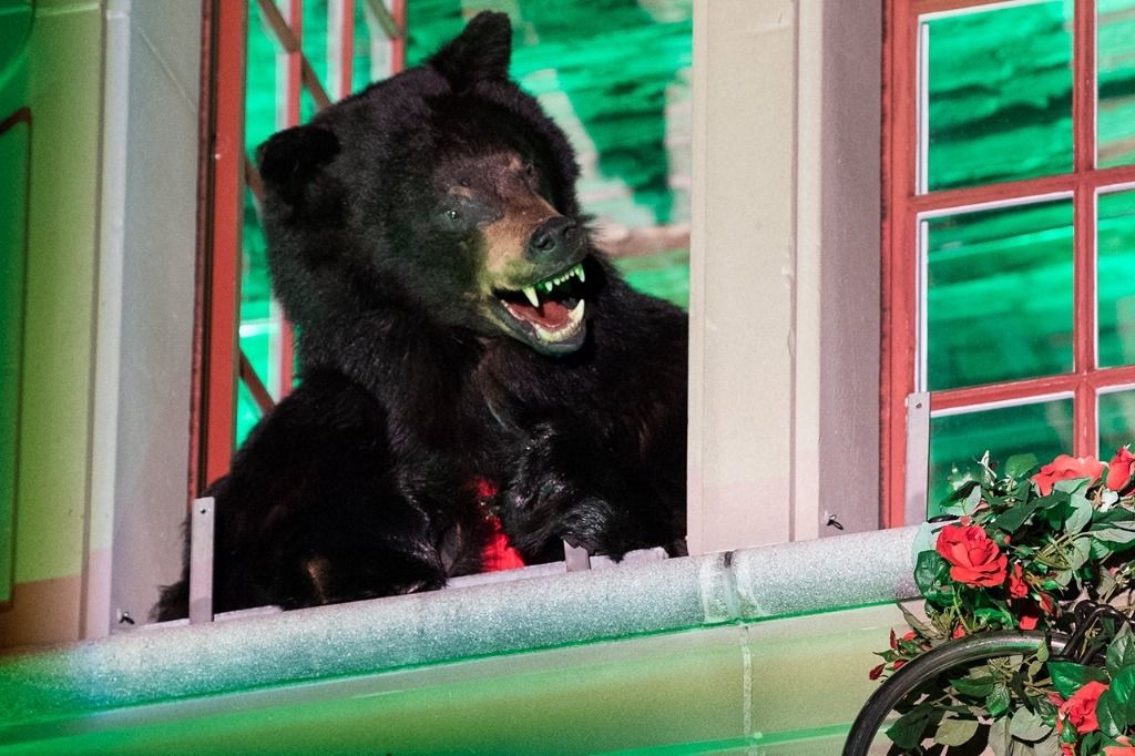 Der Bär ist los Der Bund