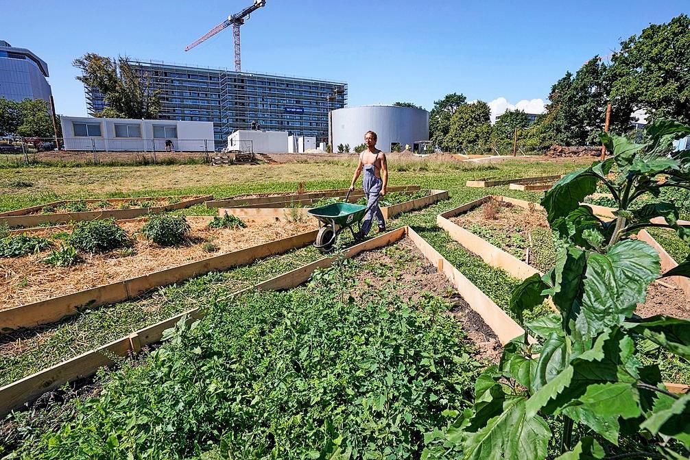 Le site de Morillons, un terrain de 4 hectares à 150 millions de francs, se niche à 450 mètres d’altitude. 