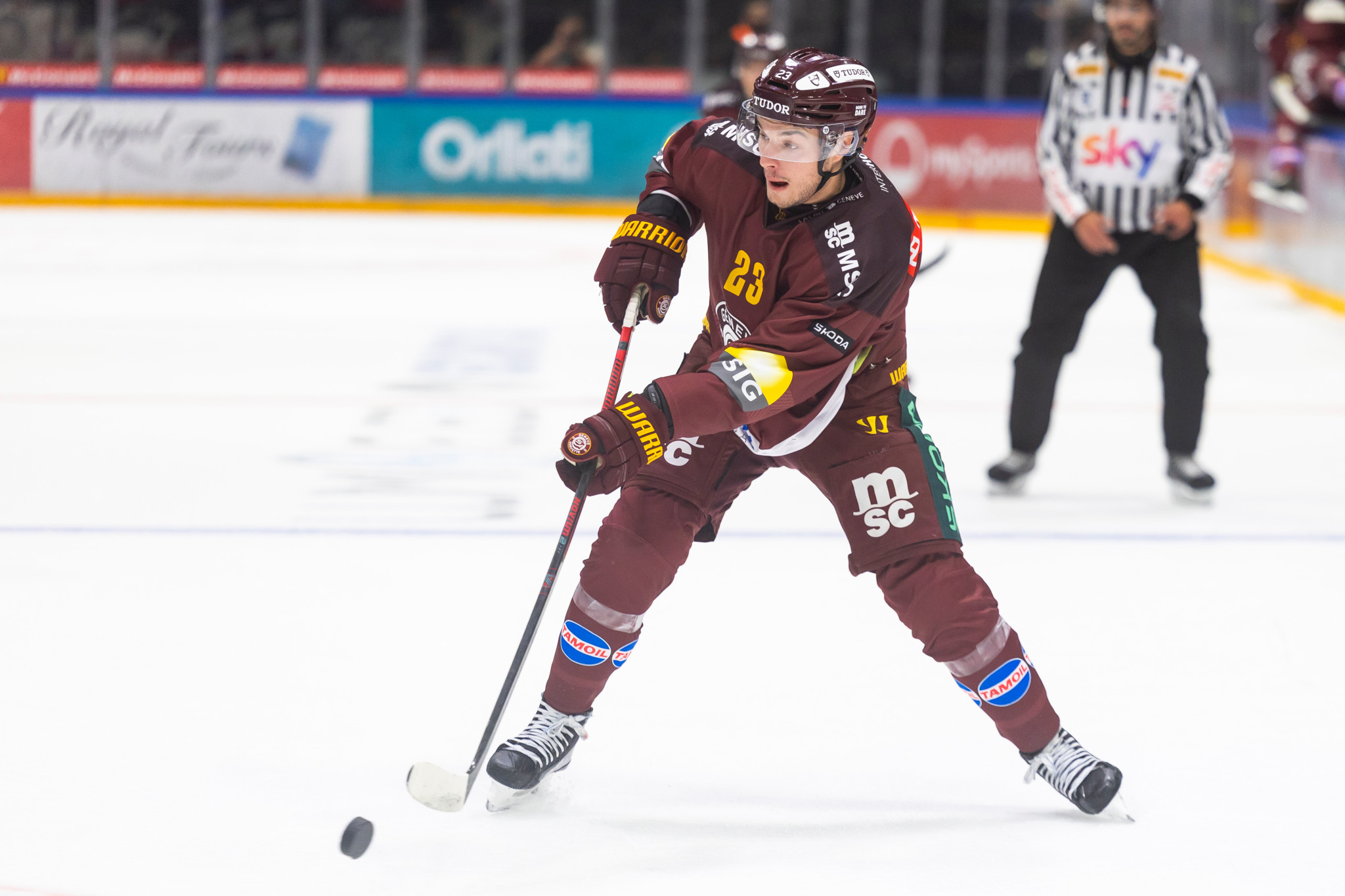 Champions League: Fribourg-Gottéron et Genève-Servette s’affronteront en 8es de finale