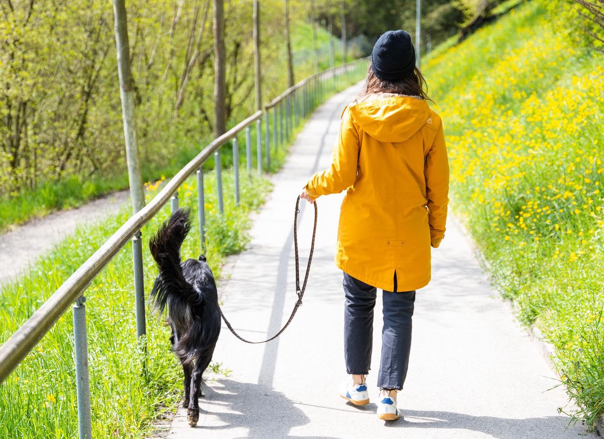 Wie Lange Spazieren Gehen Bei Erkältung Fit durch Spazieren: Wie viele Schritte braucht es für ein gesünderes