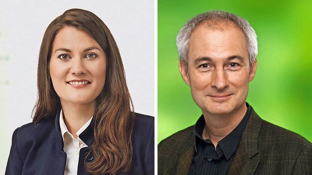 Grüne Allianz will Bundesratssitz TagesAnzeiger