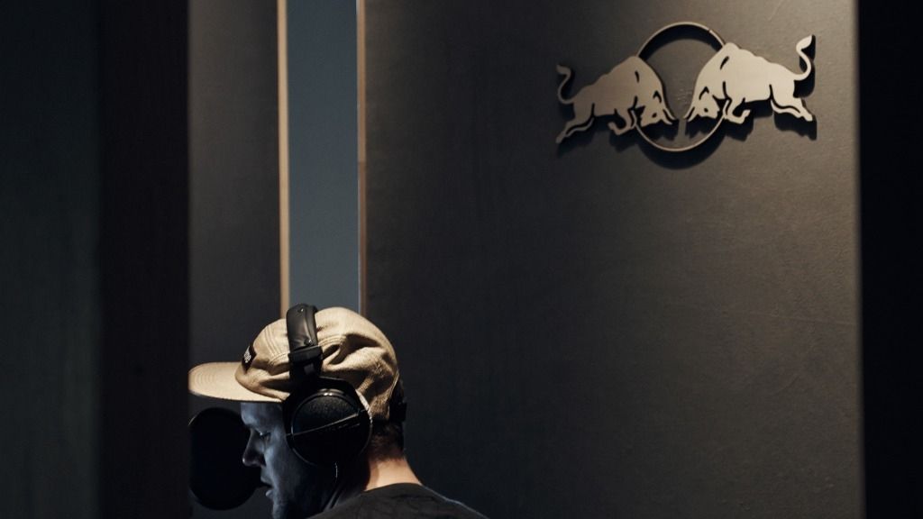 Der Bulle als Medium und Message TagesAnzeiger