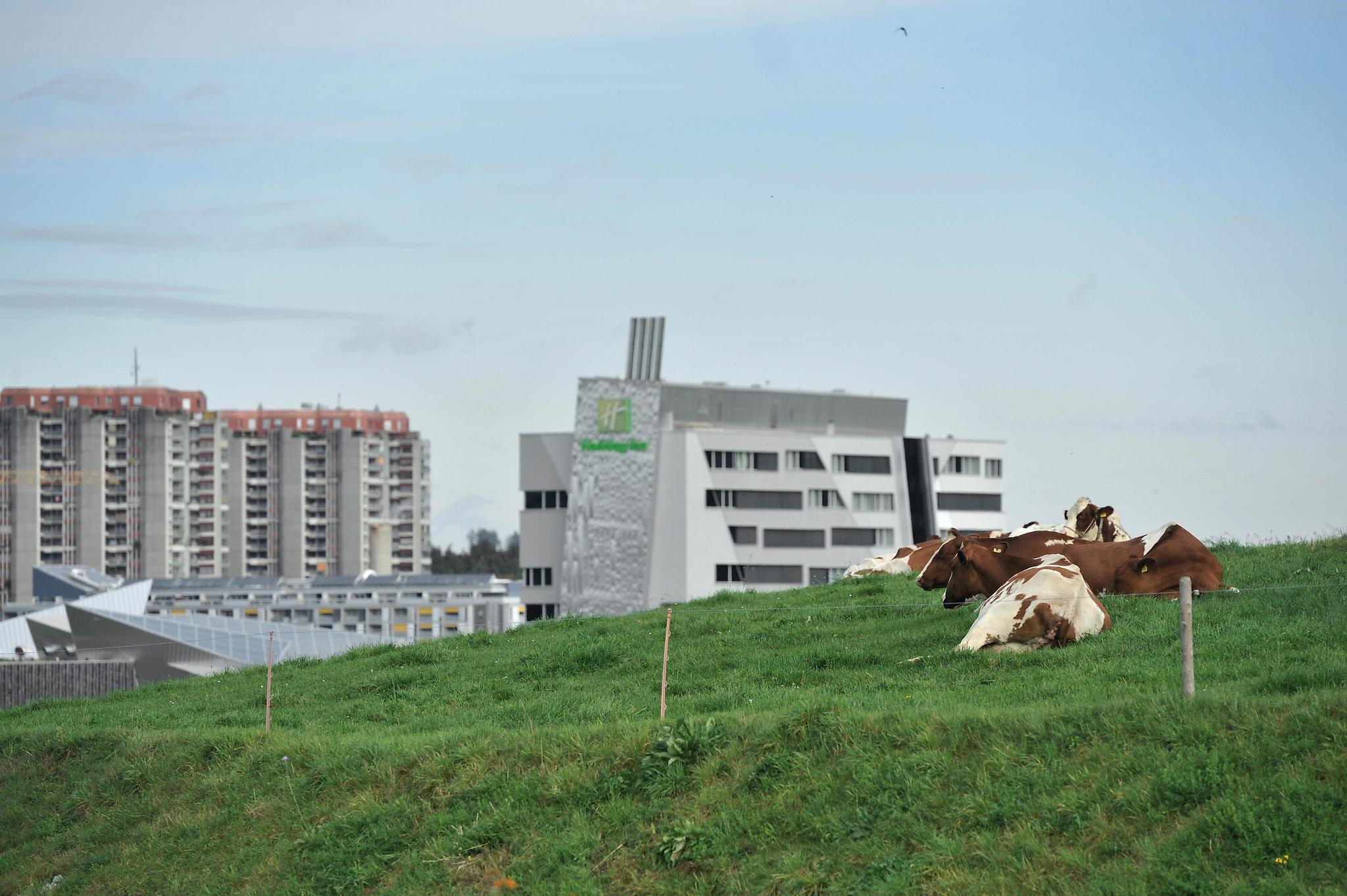 Stadt und Land liegen in Bern West nahe zusammen. 