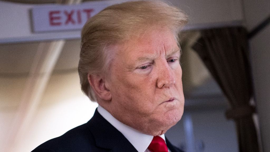 Das Ende Der Zoll Posse Donald Trump Und Brasilien In Wto Streit Die Hintergründe - eupd4r3