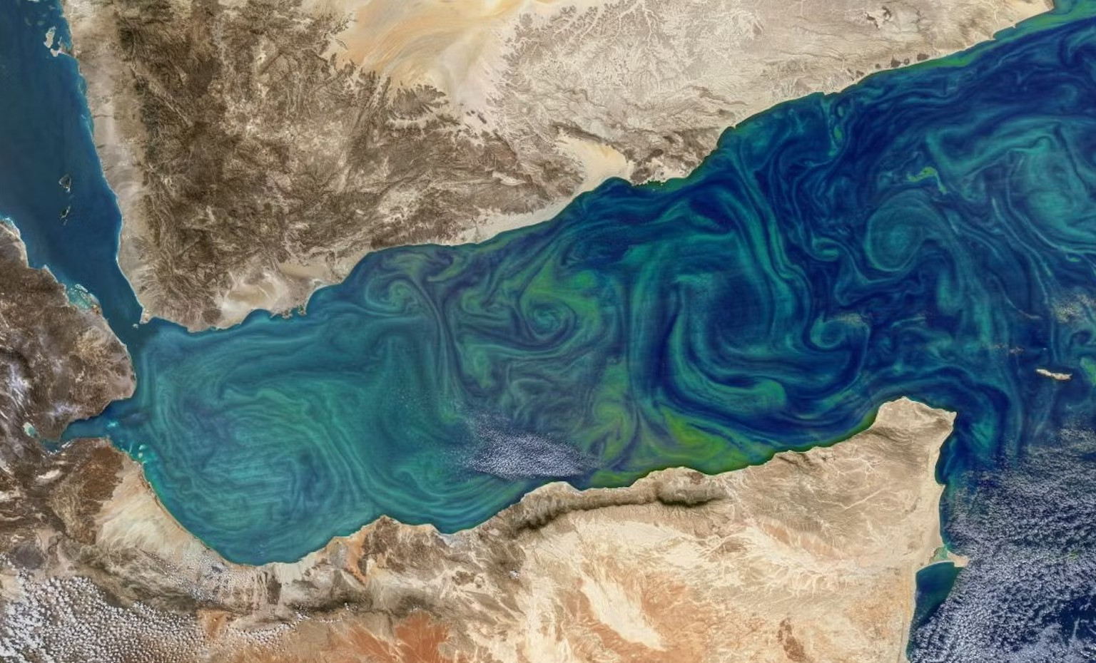 Satellitenansicht des Arabischen Meeres mit türkisfarbenen Wirbelmustern im Wasser nahe der Küstenlinie.