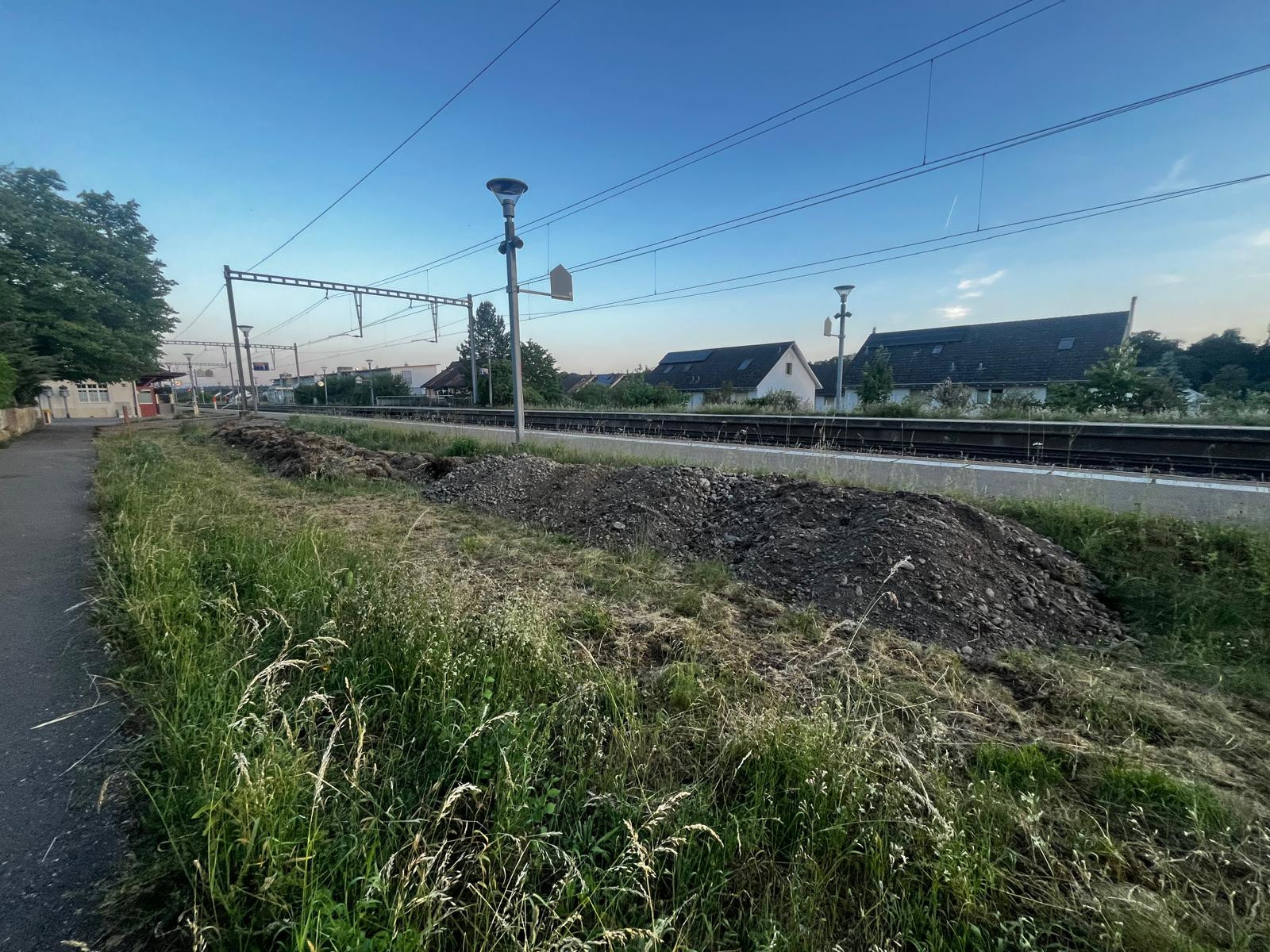 Biodiversität in Dachsen: An diesem Bahnhof werden Gärtner i