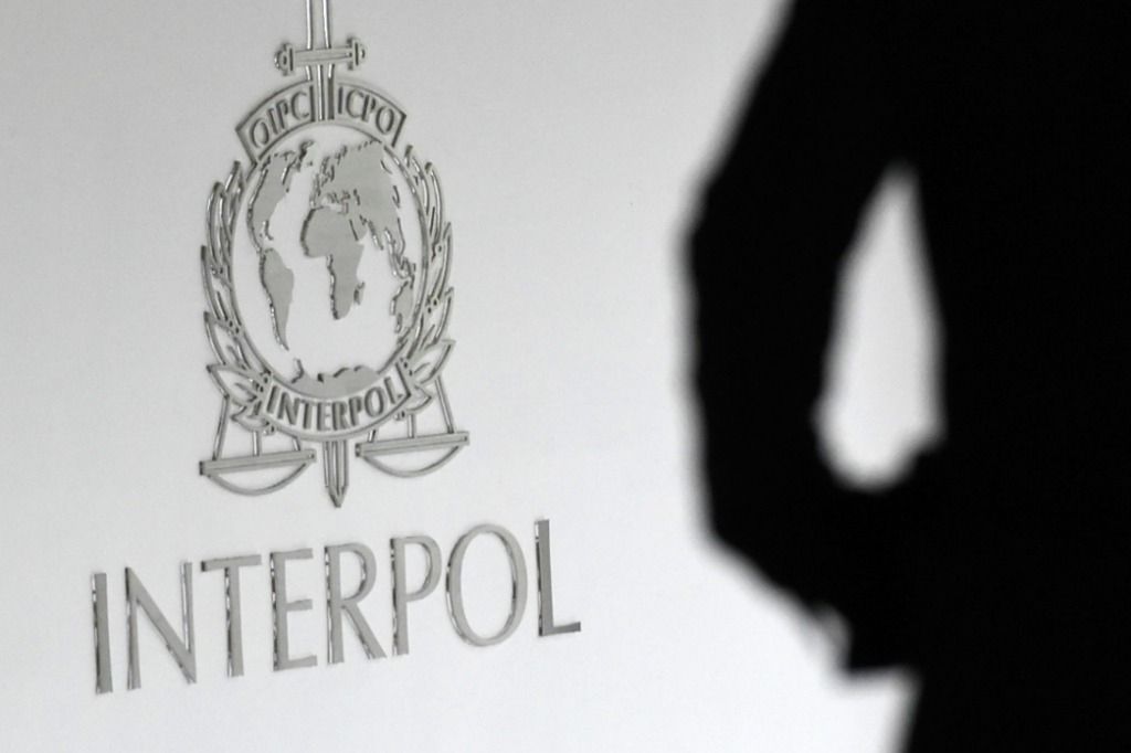 Des milliers d'animaux sauvages saisis