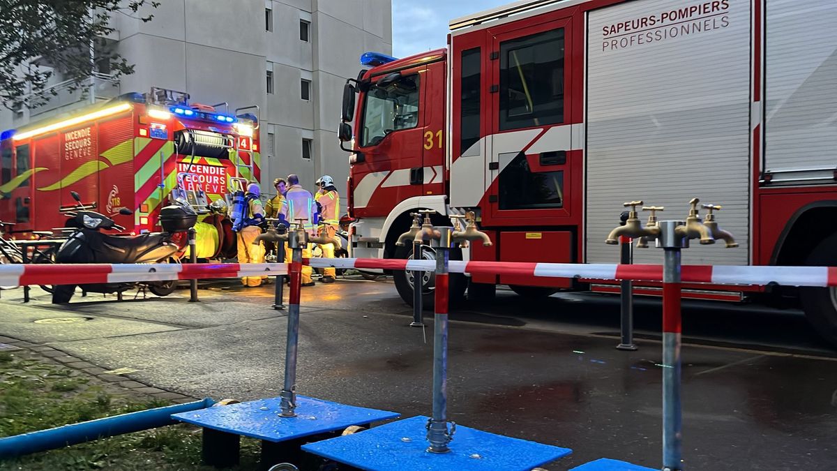 Des camions de pompiers sont garés devant un bâtiment, avec des pompiers en action autour. Des barrières de sécurité et des tuyaux d'eau sont visibles au premier plan.