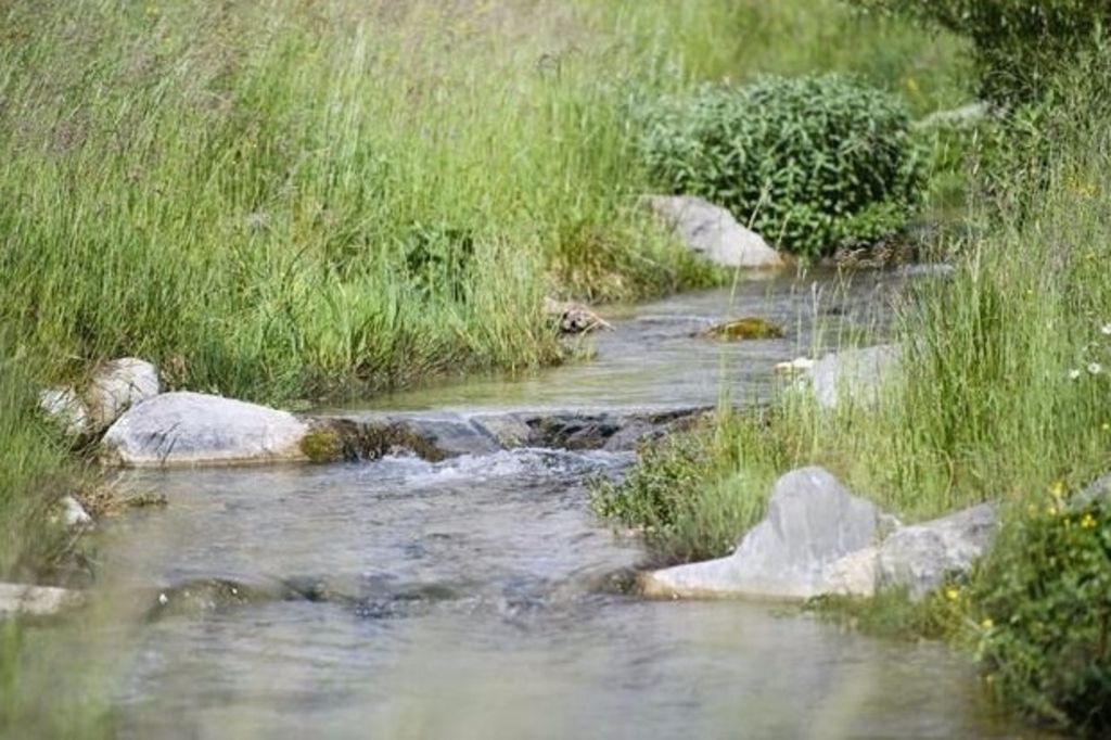 Du lisier pollue un cours d'eau à Lully