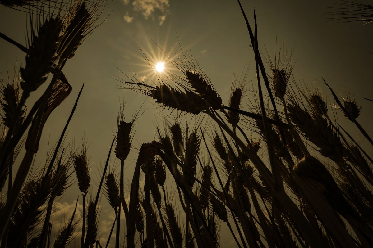 Le dôme de chaleur actuel fait réagir les climatosceptiques sur les réseaux sociaux qui rappellent que «c’est l’été et en été il fait chaud».