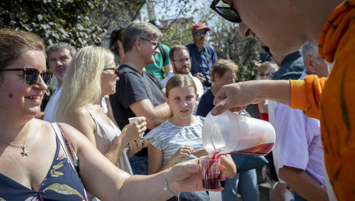 Fête des vendanges 2023