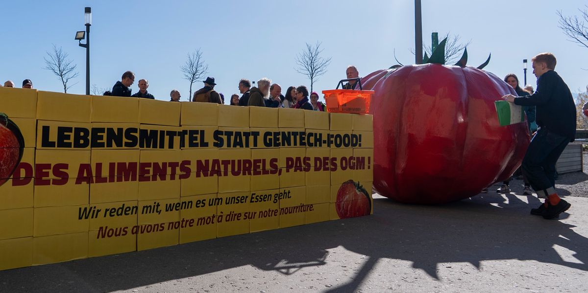 Unterschriftenb-gen-verschwunden-Verh-hnert-oder-gestohlen-Linkes-Kernanliegen-wird-zum-Kriminalfall