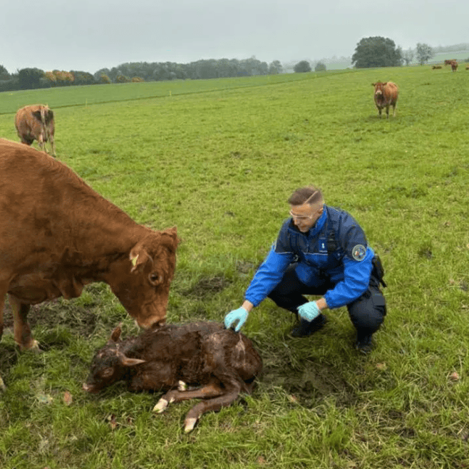 Souriez! Voici nos huit bonnes nouvelles de la semaine