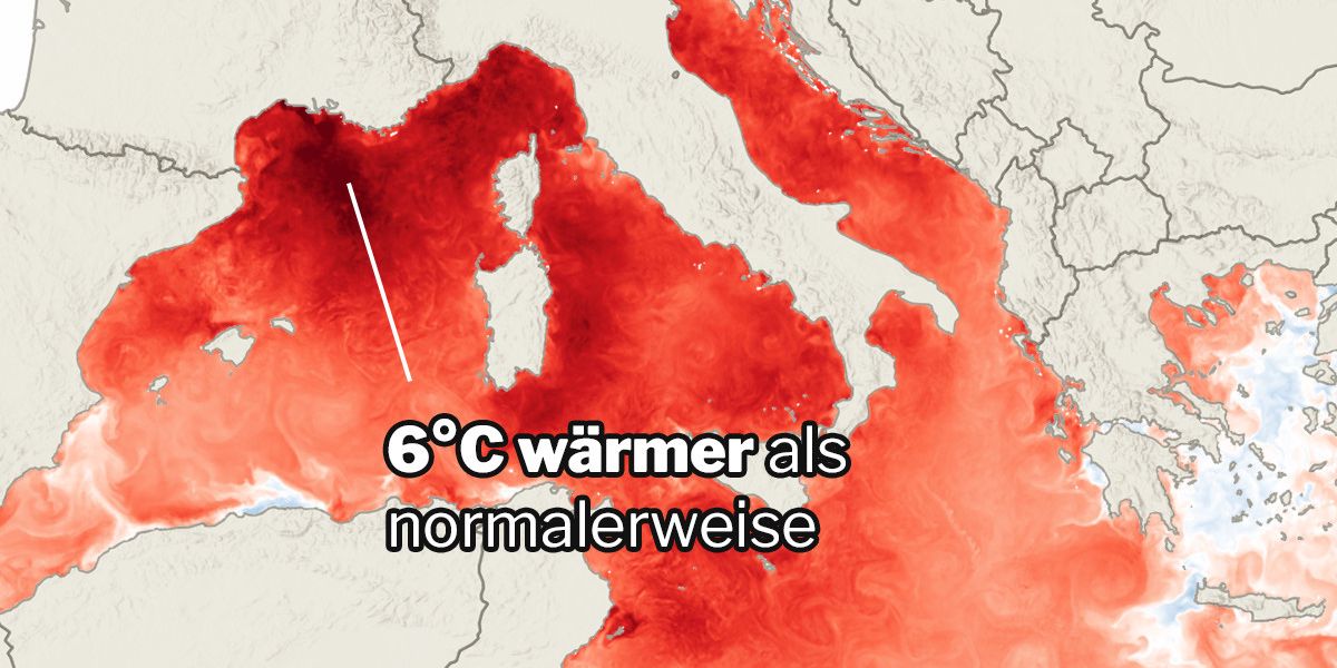 Grafiken-zu-Rekordtemperatur-Das-Mittelmeer-ist-jetzt-schon-viel-zu-warm-das-bedroht-nicht-nur-Ihre-Ferien