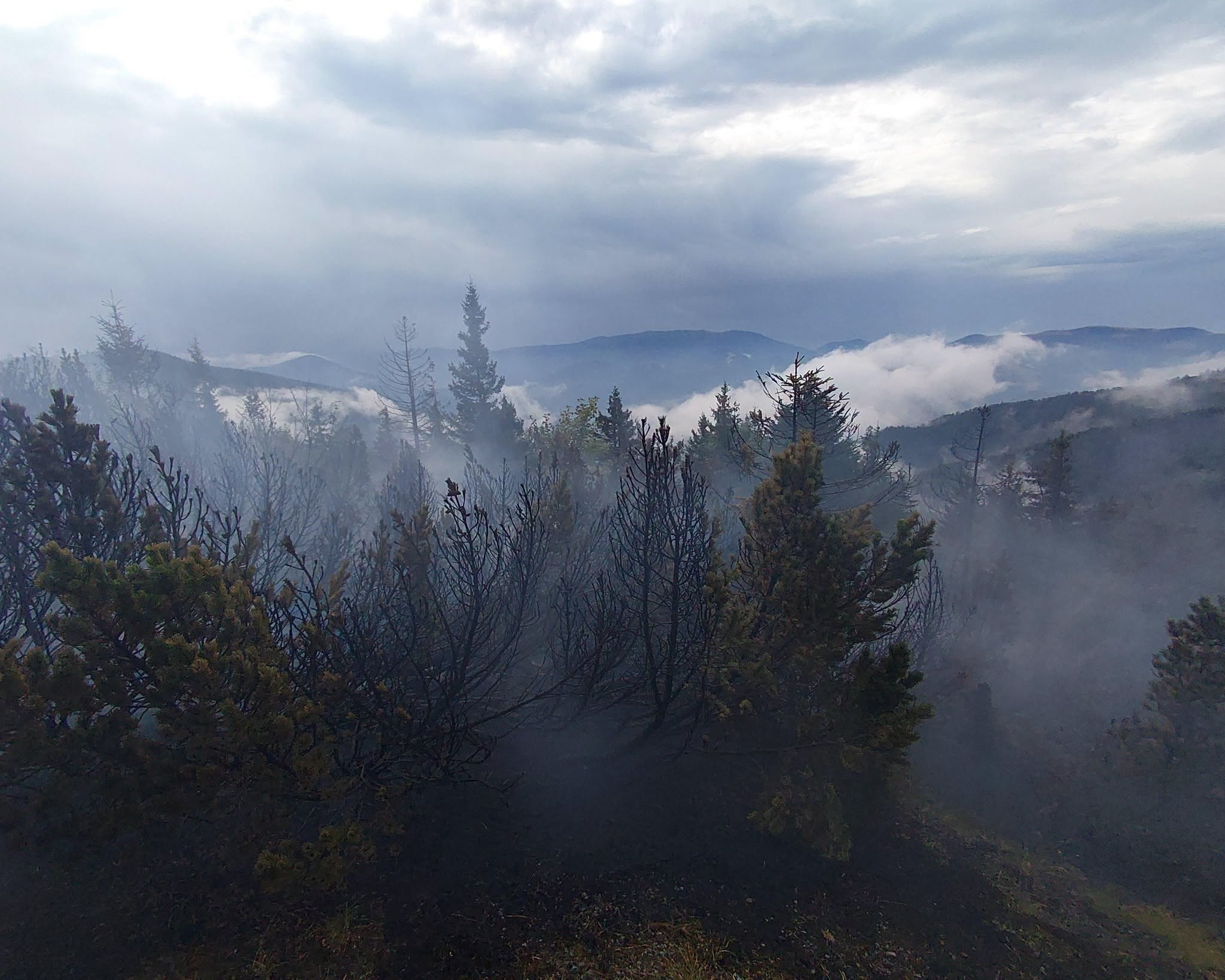 Verbrannte und angesengte Bäume inmitten von Rauch und Dunst nach einem Waldbrand, mit Bergen im Hintergrund.