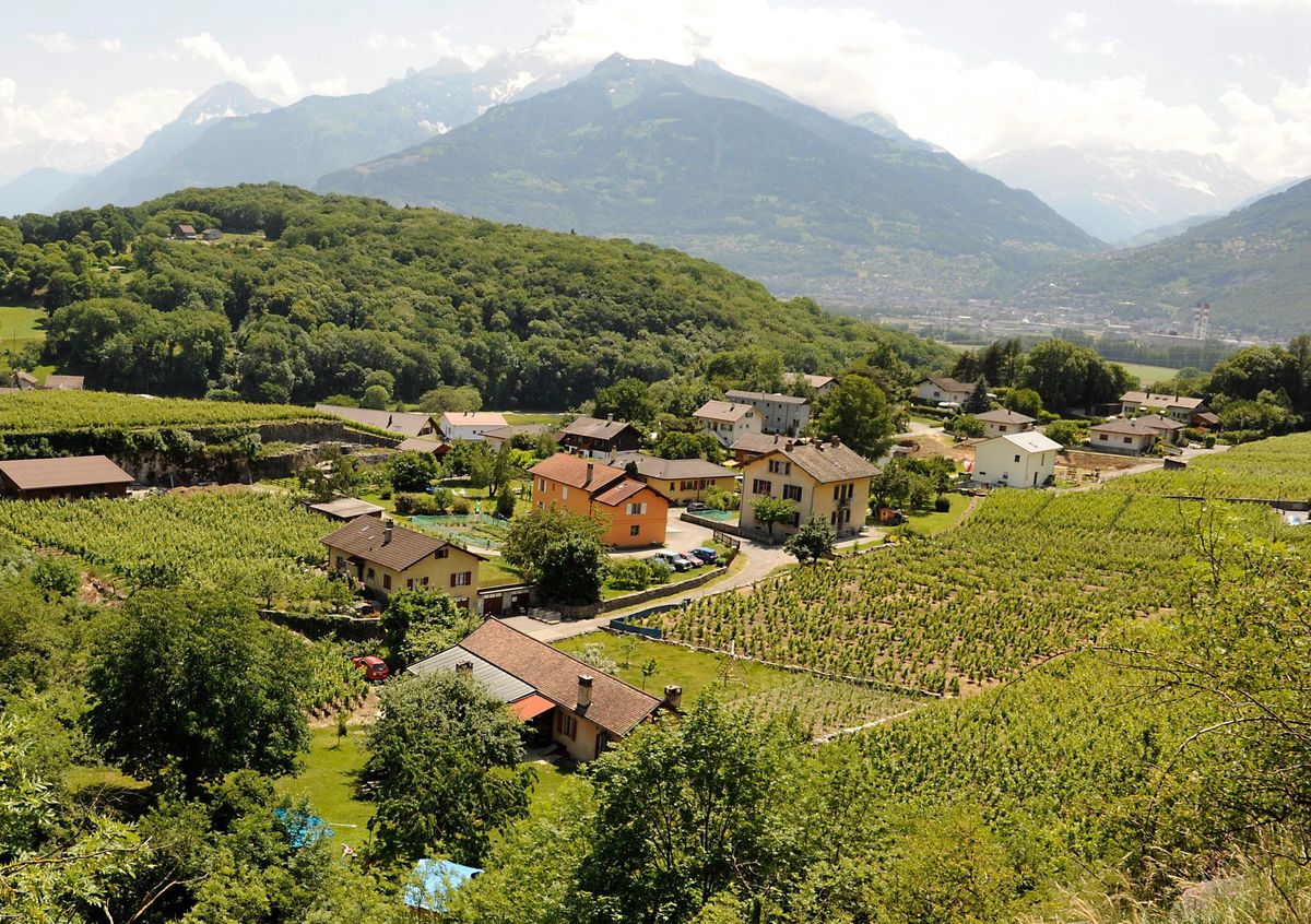 La forêt étant légalement protégée, on ne peut pas, en principe, ériger des constructions à moins de 20 mètres de la lisière. 