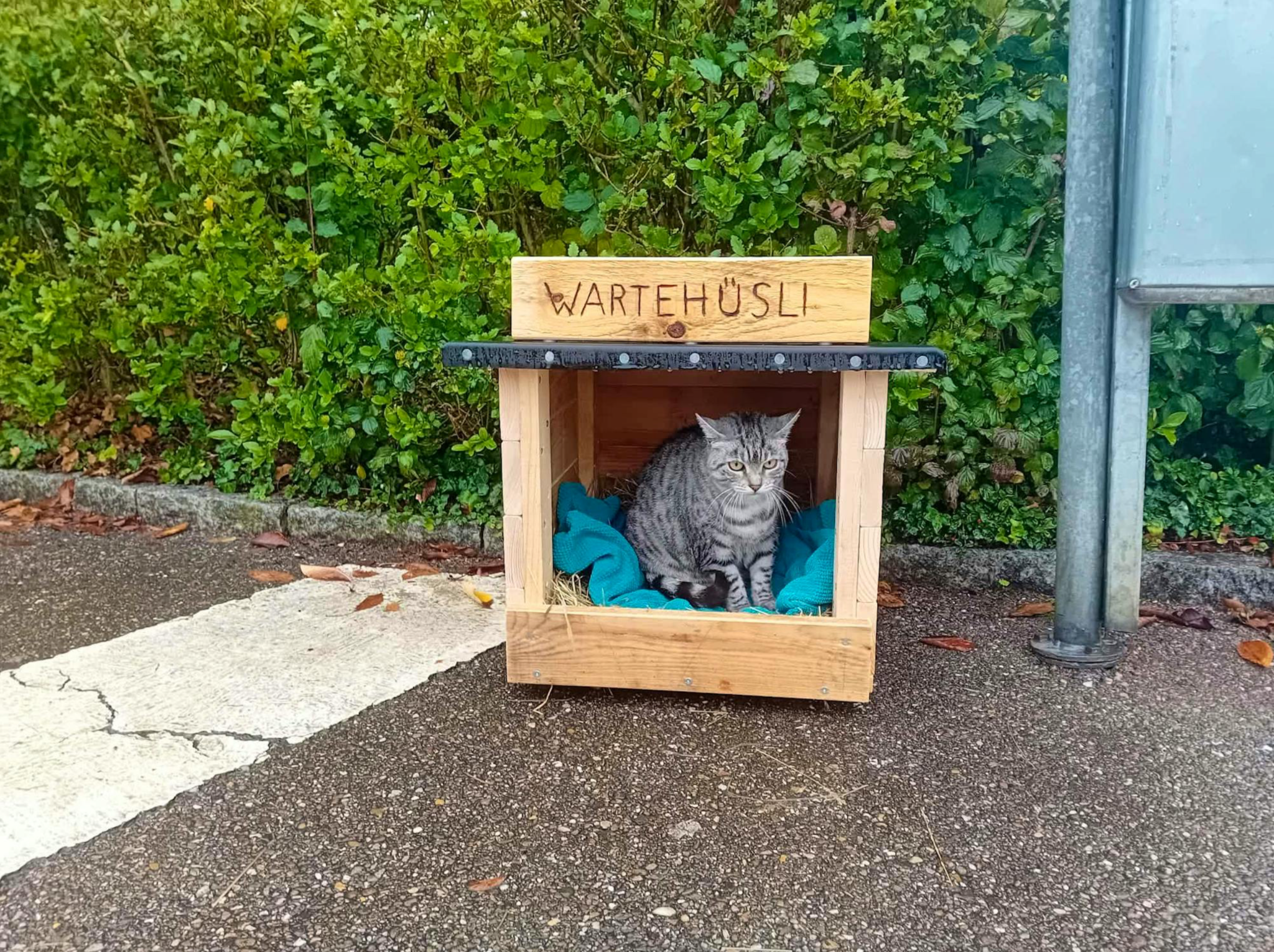 Dans le canton de Bâle-Campagne: Près de Bâle, une chatte a désormais son propre abribus
