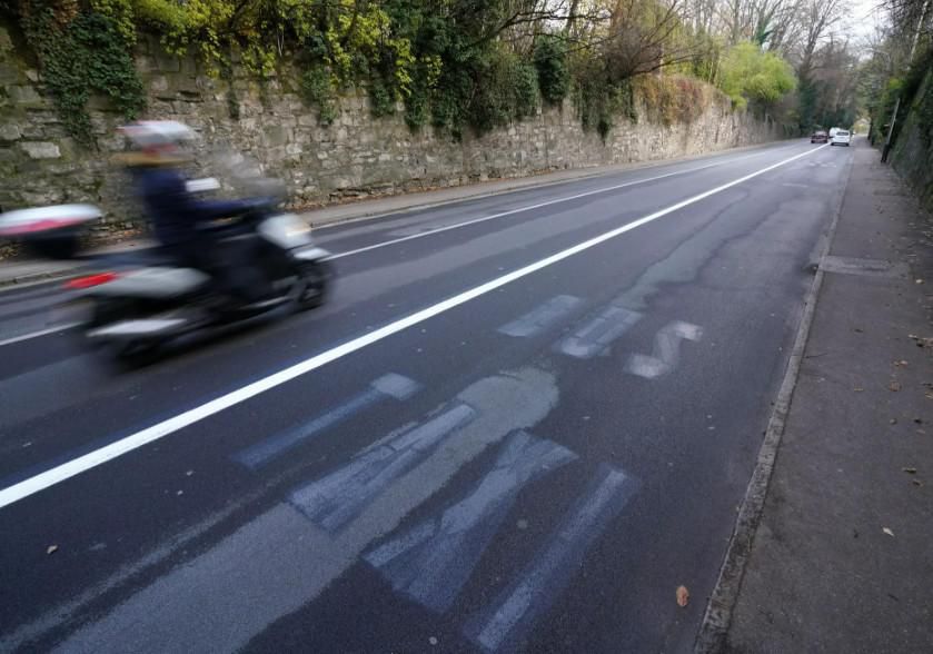 Une partie de la route de Ferney sera élargie pour faire passer le tram et les voitures, ce qui implique d’abattre des arbres, ce que condamnent les opposants.