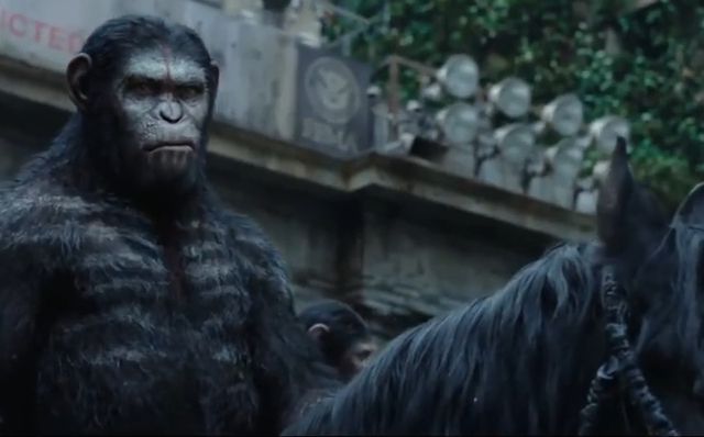 «La planète des singes: l'affrontement» a démarré très fort au box-office nord-américain