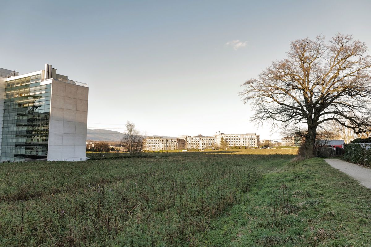 Genève, le 19 janvier 2024. Secteur de La Susette au Grand-Saconnex. Situé derrière Palexpo, entre l'autoroute et la route de Ferney, le quartier devrait accueillir environ 900 nouveaux logements dès 2030. A gauche sur la photo, l'hôtel Hilton.