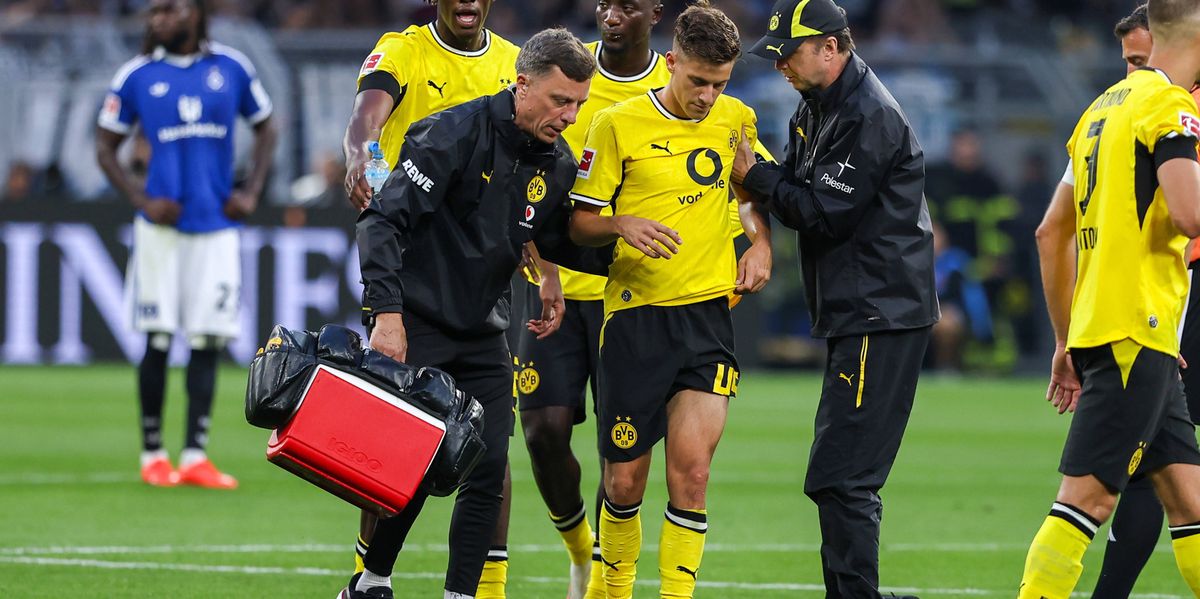 Torn cruciate ligament: BVB newcomer Konstantelias out for months
