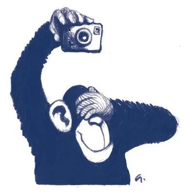 Eine Zeichnung eines Affen, der ein Selfie mit einer Kamera macht und dabei seine Augen mit seiner Hand verdeckt.