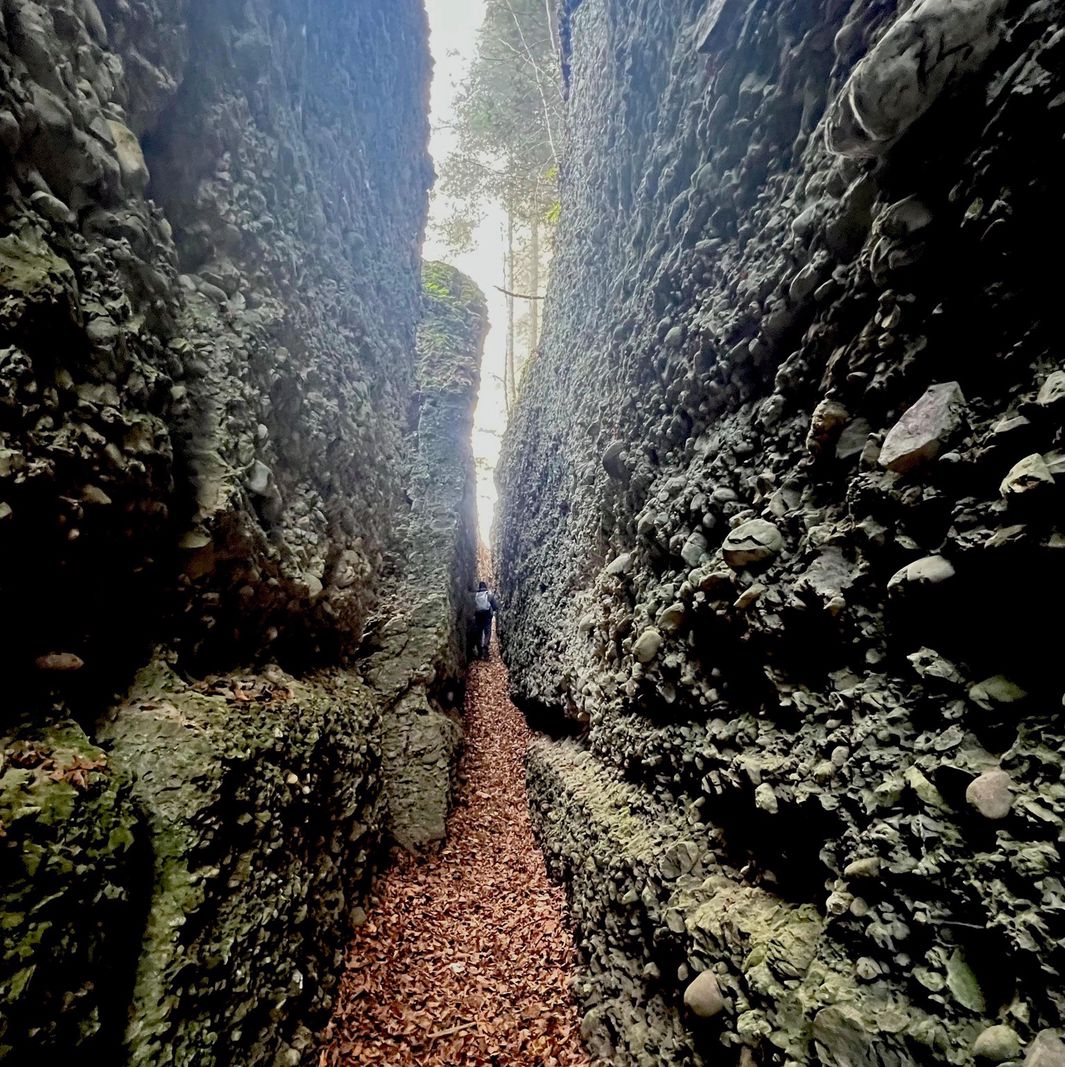 Schmaler, von hohen Felswänden eingerahmter Pfad am Zürcher Bachtel mit herbstlichem Laub auf dem Boden und Bäumen im Hintergrund.