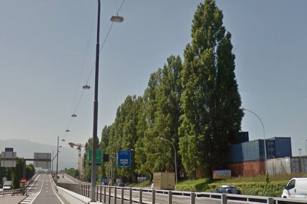 Les peupliers noirs de La Praille sont tombés en silence