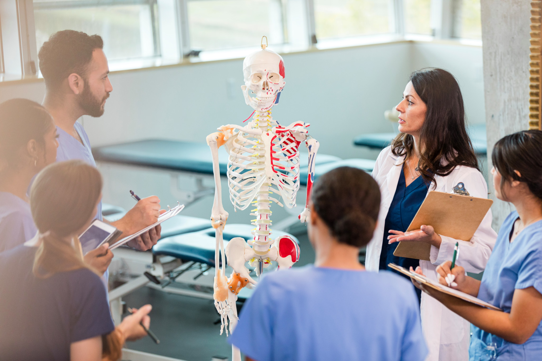 Professorin im weissen Kittel erklärt Medizinstudierenden ein anatomisches Skelettmodell in einem Unterrichtsraum.