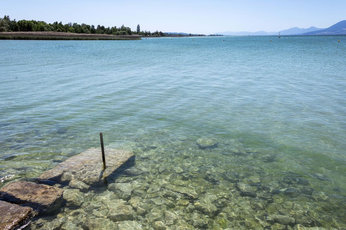 L’ABV a récemment prévenu ses consommateurs d’eau pompée au large de Portalban de la présence d’un métabolite du chlorothalonil à hauteur de 0,2 microgramme par litre.