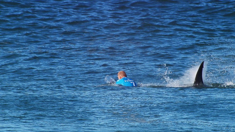 Nicht immer geht es so glimpflich aus: Mick Fanning wehrt sich erfolgreich gegen einen Haiangriff. (19. Juli 2015)