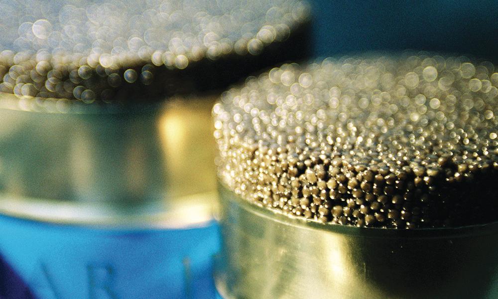 Peter Rebeiz a créé les sélections de caviar provenant de différentes espèces d’esturgeons.