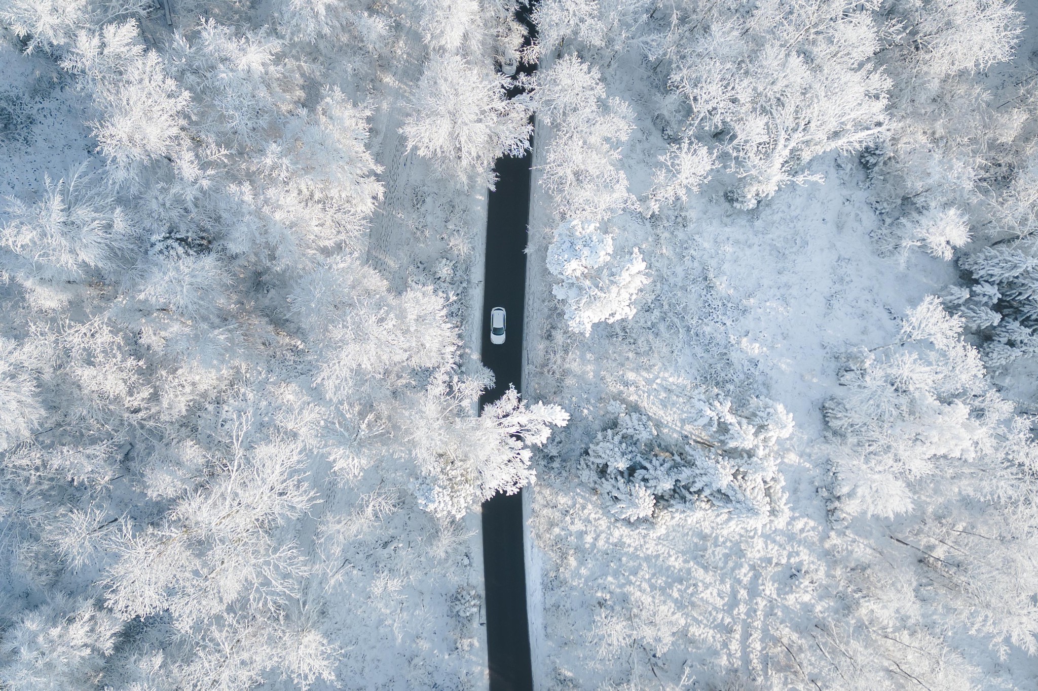 Eiförmig und bis zu 300 Kilometer pro Stunde schnell: Polarwirbel mit Zentrum über der Arktis, auf 30 Kilometer Höhe. 