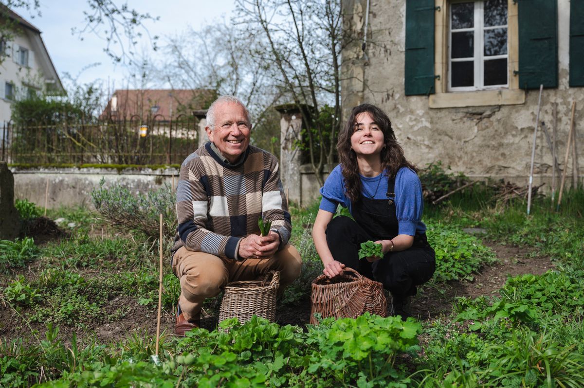 Bioley-Orjulaz, le jeudi 4 avril 2024. Christophe Perret-Gentil nous présente les différentes étapes de la fabrication du Thé Vernal à l'herboristerie Ariès. Il va prochainement passer le flambeau à Clémence Moulin. Cueillette sur le domaine. (Marie-Lou Dumauthioz/24heures) 