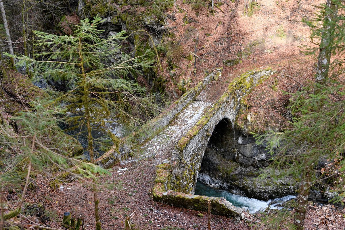 Les voûtes du pont sont saines, et c’est ce qui peut permettre d’envisager son sauvetage. 